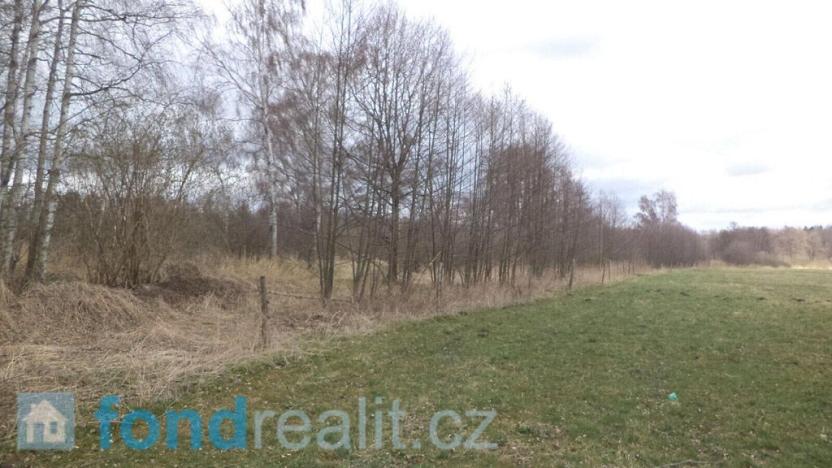 Prodej pozemku, Chlum u Třeboně - Lutová, 19035 m2
