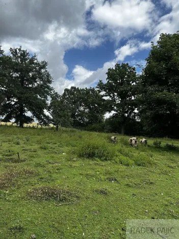 Prodej pozemku pro bydlení, Čížkov, 3589 m2