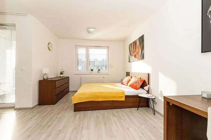 Pronájem bytu 1+kk, Praha - Vysočany, Strnadových, 33 m2