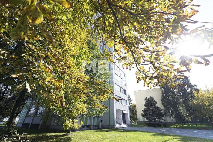 Pronájem bytu 2+1, Orlová - Lutyně, Okružní, 65 m2