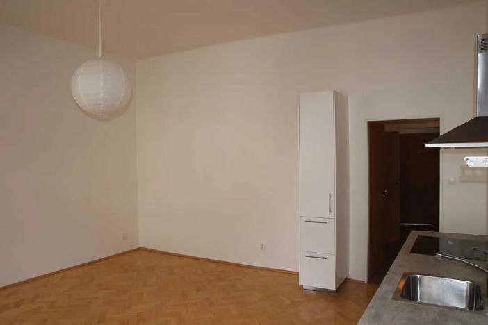 Pronájem bytu 1+kk, Brno, Vackova, 38 m2