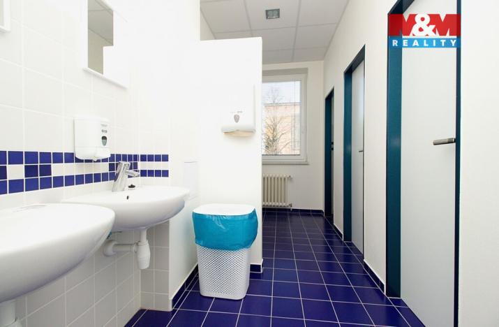 Pronájem kanceláře, Opava - Předměstí, Těšínská, 30 m2