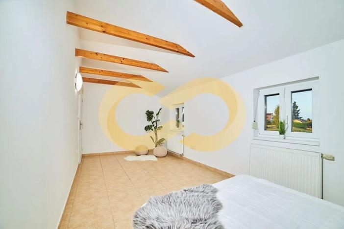 Prodej atypického bytu, Planá nad Lužnicí, Harrachova, 150 m2