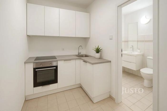 Pronájem bytu 1+1, Písek, Pražská, 30 m2