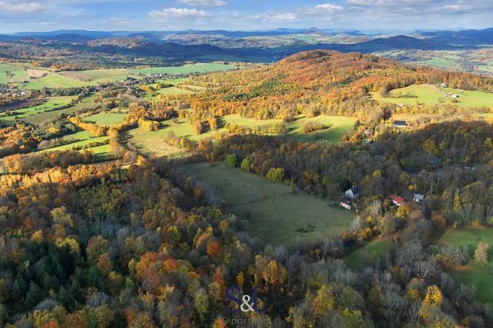 Prodej louky, Stvolínky, 37727 m2