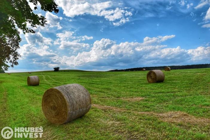 Prodej rodinného domu, Olešnice, 105 m2