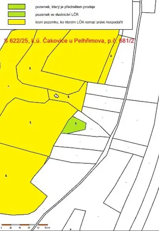 Prodej lesa, Pelhřimov, 1222 m2