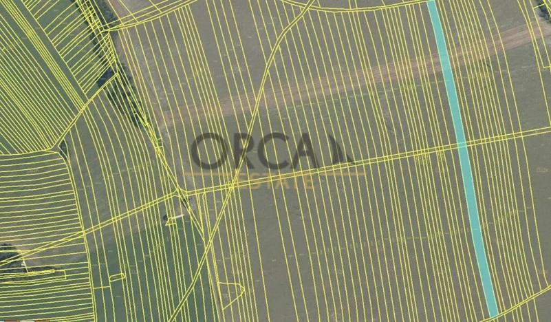 Prodej pole, Záhorovice, 2531 m2