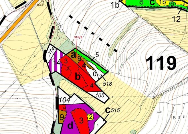 Dražba lesa, Olešná, 2554 m2