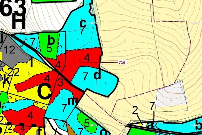 Dražba lesa, Kuřimany, 4499 m2