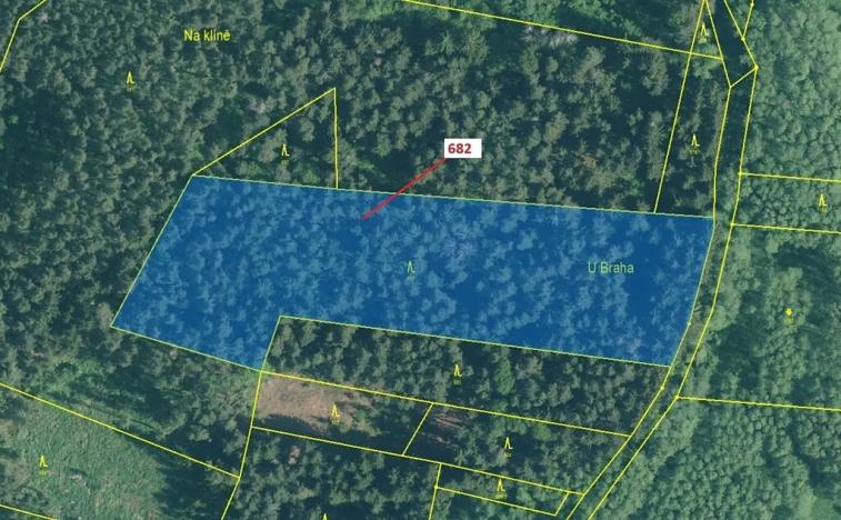 Dražba lesa, Kuřimany, 11584 m2