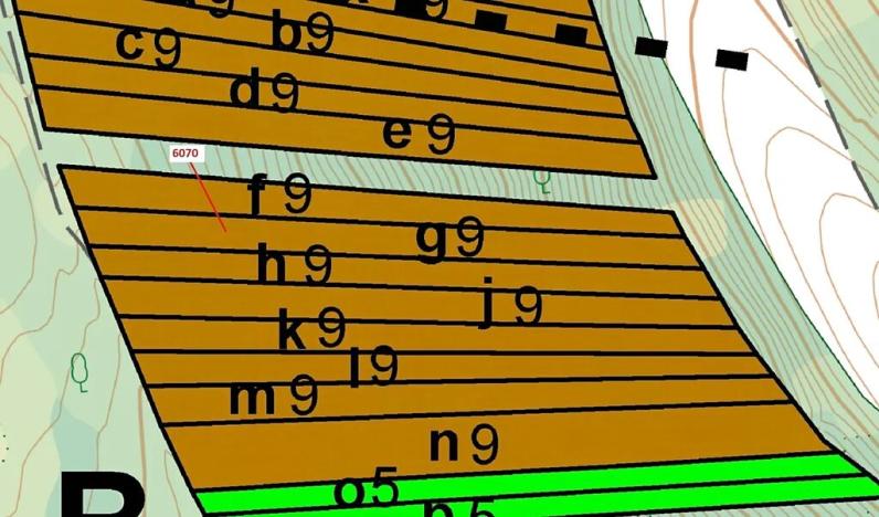 Dražba lesa, Archlebov, 2892 m2