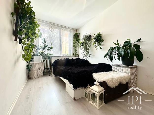 Pronájem bytu 2+kk, Praha - Petrovice, Jakobiho, 43 m2