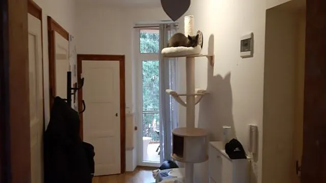 Prodej bytu 3+kk, Břeclav, Žižkova, 72 m2