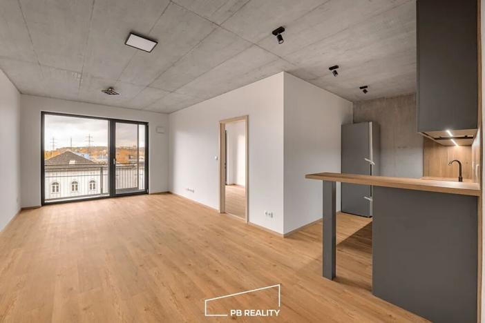 Pronájem bytu 2+kk, Plzeň, Kamenická, 55 m2