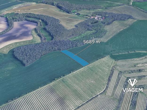 Prodej podílu pole, Těšany, 355 m2