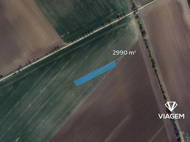 Prodej pole, Třibřichy, 2990 m2