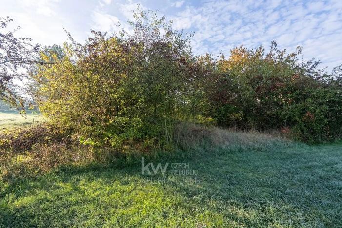 Prodej pozemku pro bydlení, Dřetovice, 919 m2