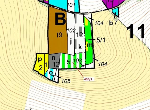 Dražba lesa, Bílsko, 3965 m2