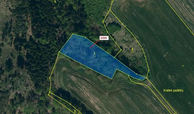 Dražba lesa, Náměšť nad Oslavou, 3646 m2