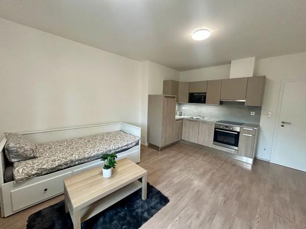 Pronájem bytu 1+kk, Praha - Košíře, Starokošířská, 30 m2