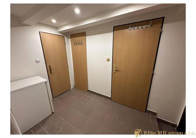 Prodej bytu 1+kk, Praha - Nusle, Doudlebská, 31 m2