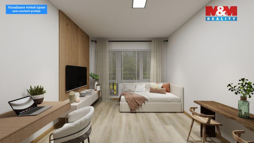 Prodej bytu 1+kk, Děčín - Děčín III-Staré Město, Žerotínova, 28 m2