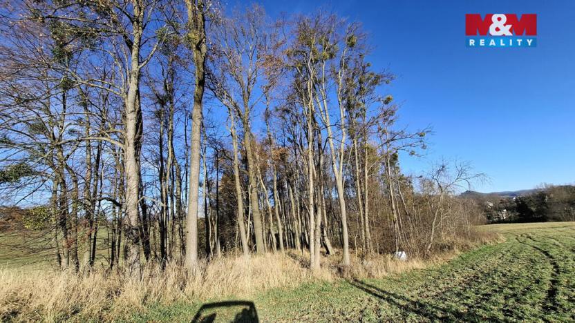 Prodej pole, Rožnov pod Radhoštěm, 7427 m2