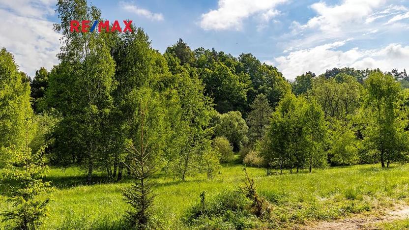 Pronájem chaty, Zákupy, 41 m2