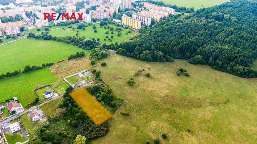 Prodej louky, Česká Lípa, 1200 m2