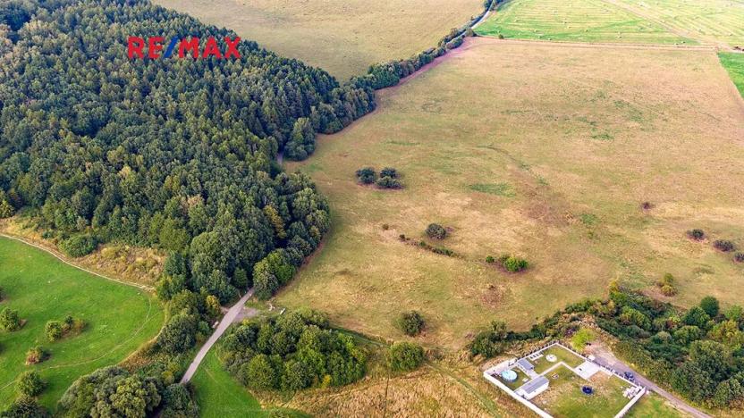 Prodej louky, Česká Lípa, 9571 m2