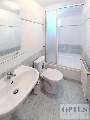 Pronájem rodinného domu, Praha, Nad výpustí, 250 m2