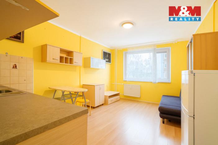 Prodej bytu 1+kk, Nová Role, Nádražní, 24 m2