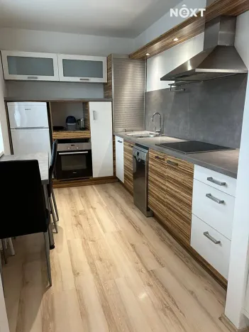 Prodej bytu 2+kk, Ostrava, Krasnoarmejců, 55 m2