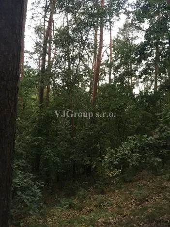 Prodej lesa, Bradlec, 4578 m2