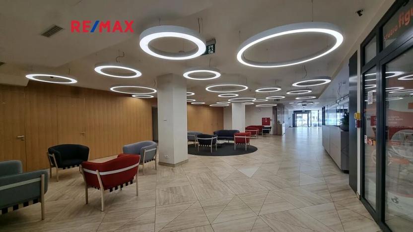 Pronájem obchodního prostoru, Praha - Karlín, Sokolovská, 165 m2