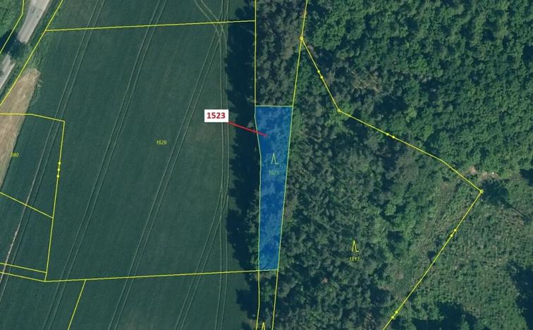 Dražba lesa, Hradiště, 645 m2