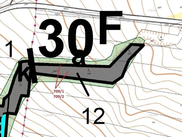 Dražba lesa, Osek, 1823 m2