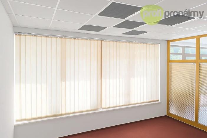 Pronájem obchodního prostoru, Vyškov, Palánek, 43 m2