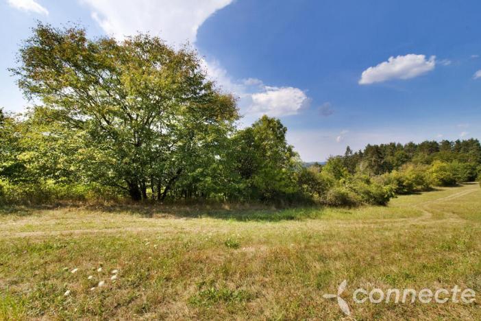 Prodej louky, Samopše, 14836 m2