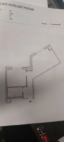 Pronájem bytu 2+kk, Praha - Nusle, Muzikova, 51 m2