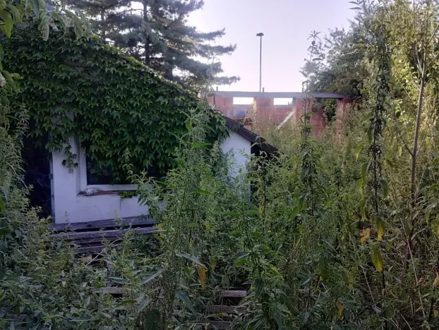 Dražba rodinného domu, Cerhenice, Na kopě, 230 m2