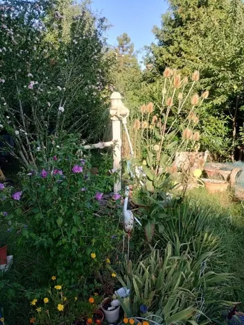 Dražba rodinného domu, Cerhenice, Na kopě, 230 m2