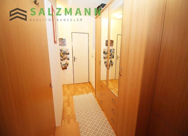 Pronájem bytu 1+1, Plzeň, U Dráhy, 39 m2