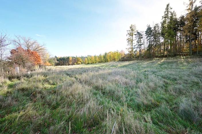 Prodej pozemku pro bydlení, Daleké Dušníky, 1217 m2