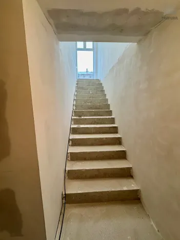 Pronájem ubytování, Brno, Štefánikova, 300 m2