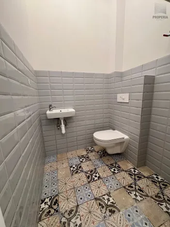 Pronájem ubytování, Brno, Štefánikova, 300 m2