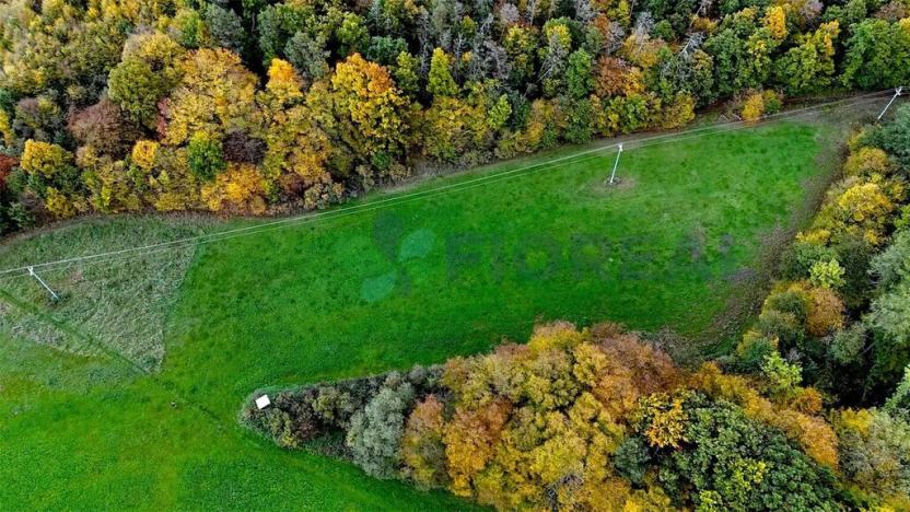 Prodej pozemku, Chotilsko, 16301 m2