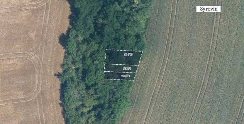 Prodej pole, Ořechov, 12328 m2