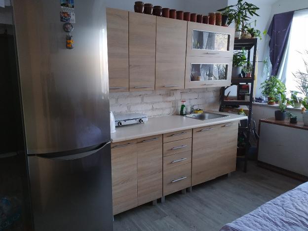 Pronájem bytu 1+kk, Holovousy, 20 m2